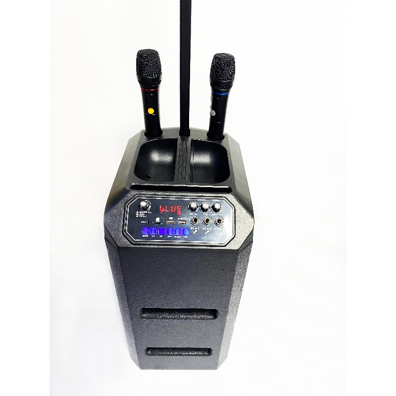 Outdoor-Turmlautsprecher Profe – Outdoor Power Line Bewertung und Preis
