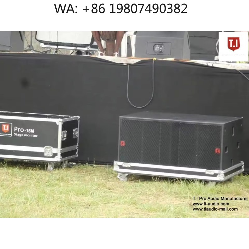 Dualer 10-Zoll Zwei-Wege Wasse – Outdoor Power Line Bewertung und Preis