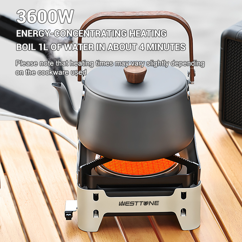 WESTTUNE Infrarot-Verbrennungs – Outdoor Kitchen Power Burner Bewertung und Preis